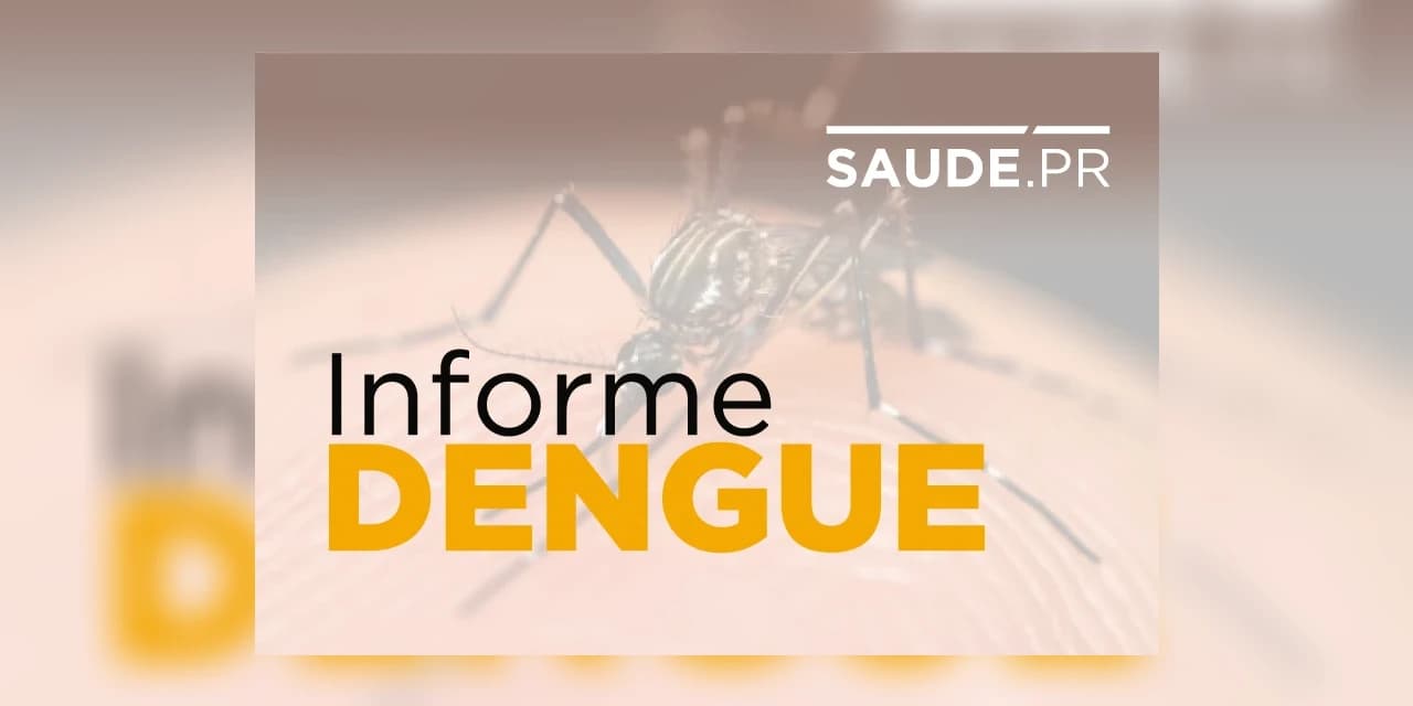 Incidência de casos aponta situação de alerta para epidemia de dengue no Paraná