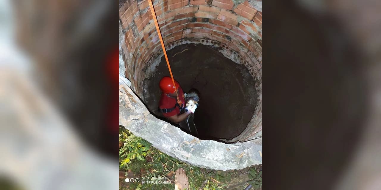 Em Prudentópolis Bombeiros resgatam cão que caiu em poço