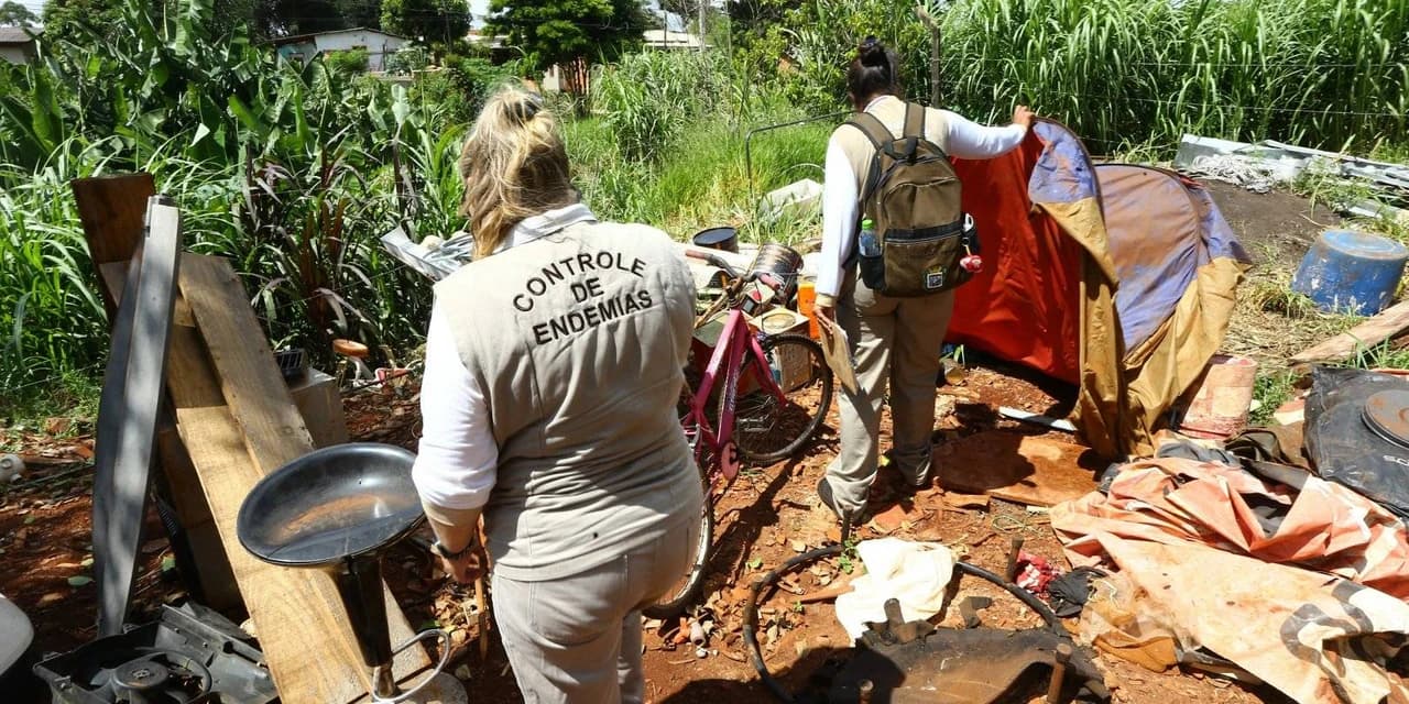 Paraná confirma mais de 9 mil casos de dengue em uma semana
