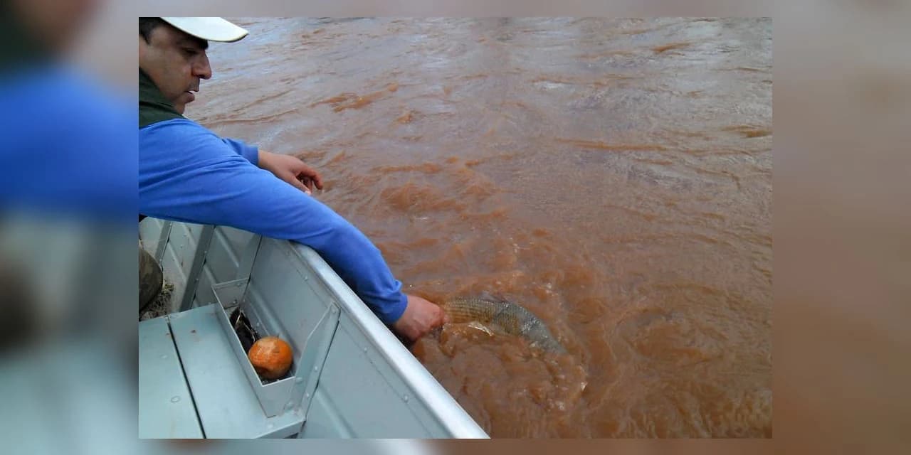 Pesca de espécies nativas está liberada a partir deste sábado