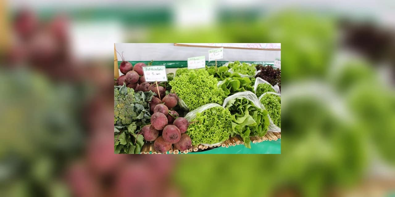 Feira do produtor acontece neste sábado em Prudentópolis com algumas recomendações