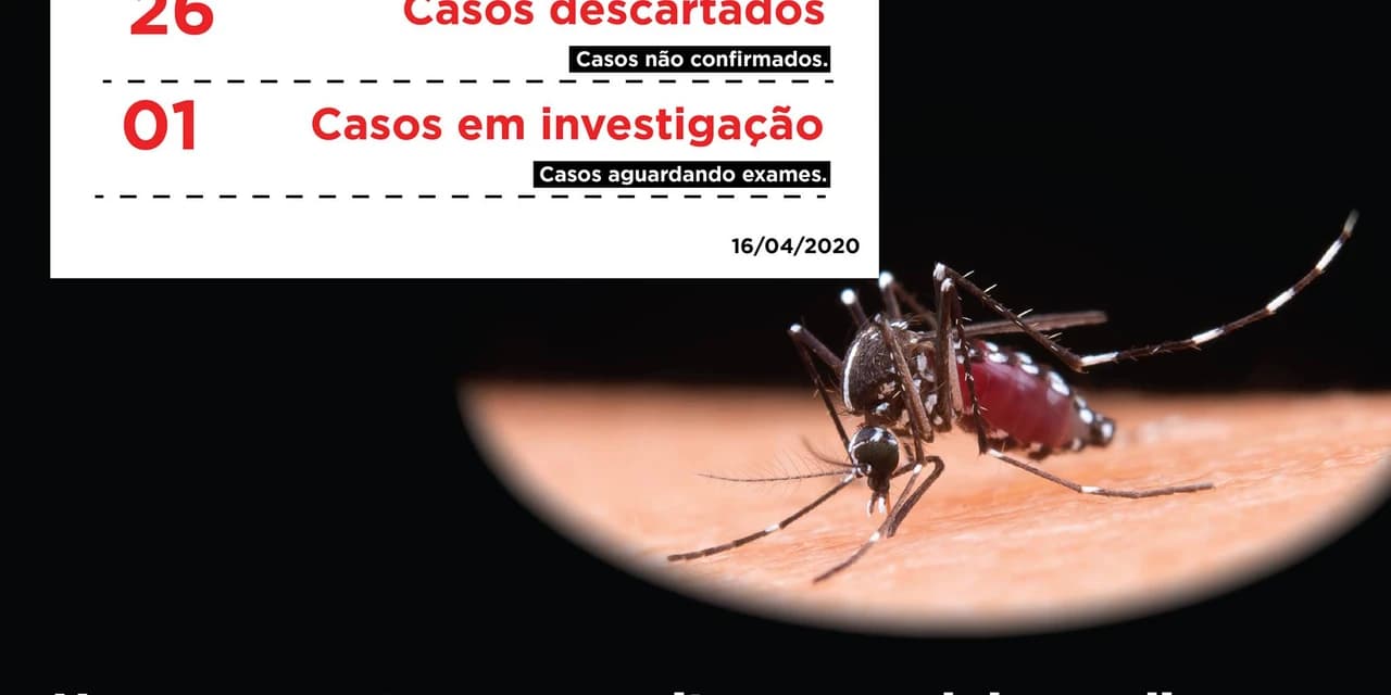 Prudentópolis tem 7 casos confirmados de dengue
