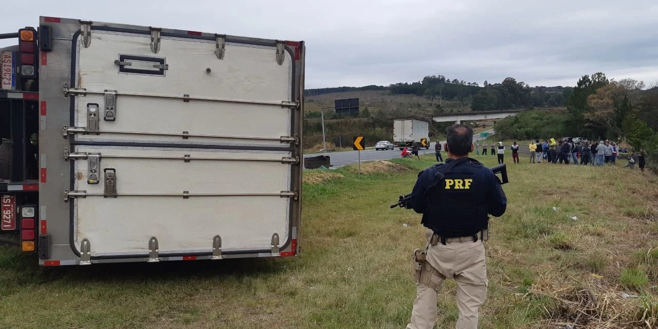 Multidão se aglomera para saquear carga de carne suína após tombamento na BR-277