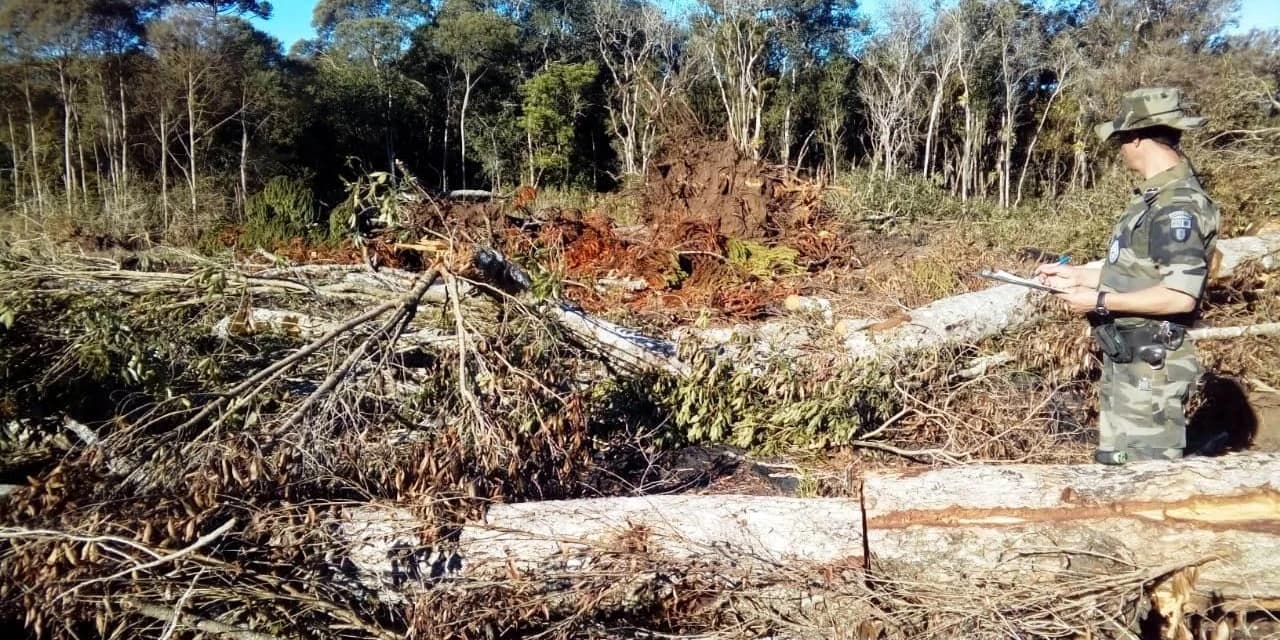 Em Rebouças Polícia Ambiental aplica multa no valor de R$ 52 mil reais.