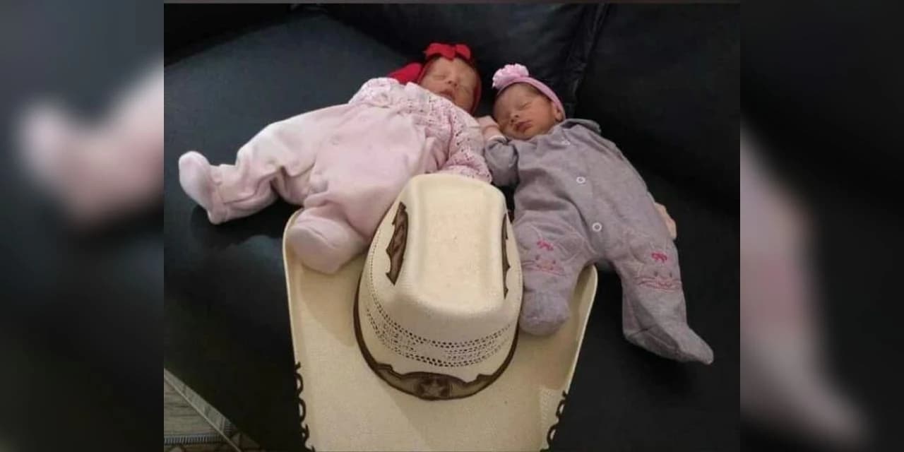 Recém-nascidas gêmeas morrem após serem atacadas por cachorro da família no sudoeste da Bahia