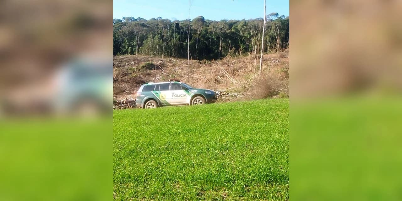 Em Prudentópolis policia ambiental aplica multa por destruição de vegetação nativa.