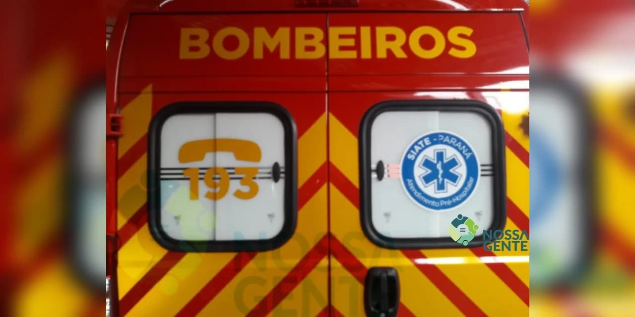 Homem ficou inconsciente após cair de um pinheiro em Prudentópolis.