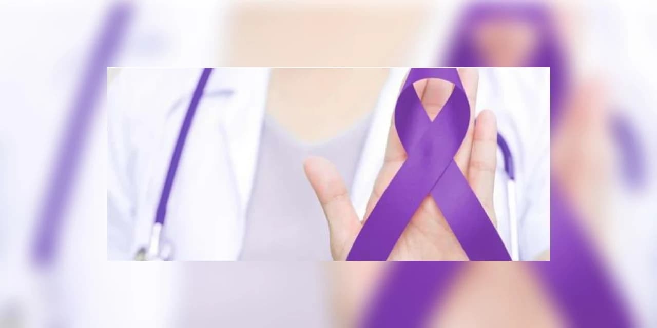 Junho Violeta - mês de conscientização e prevenção contra a violência à pessoa idosa agora é lei no Paraná