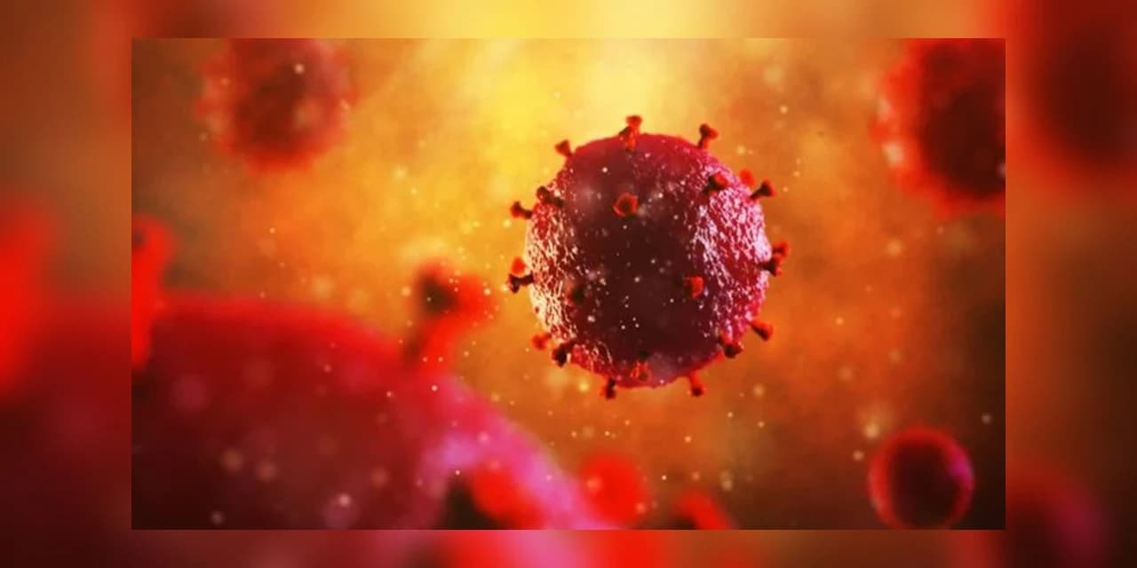 O que se sabe sobre tratamento brasileiro que teria eliminado HIV de paciente?