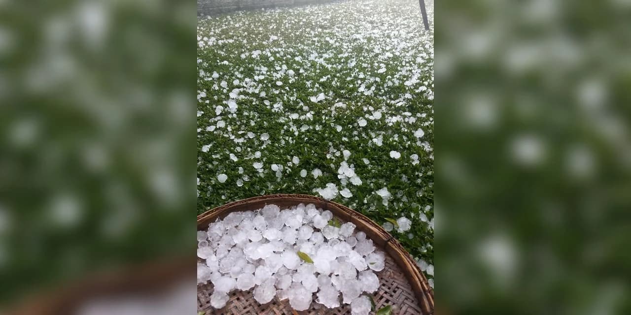 Temporal com queda de granizo é registrado em Antônio Olinto