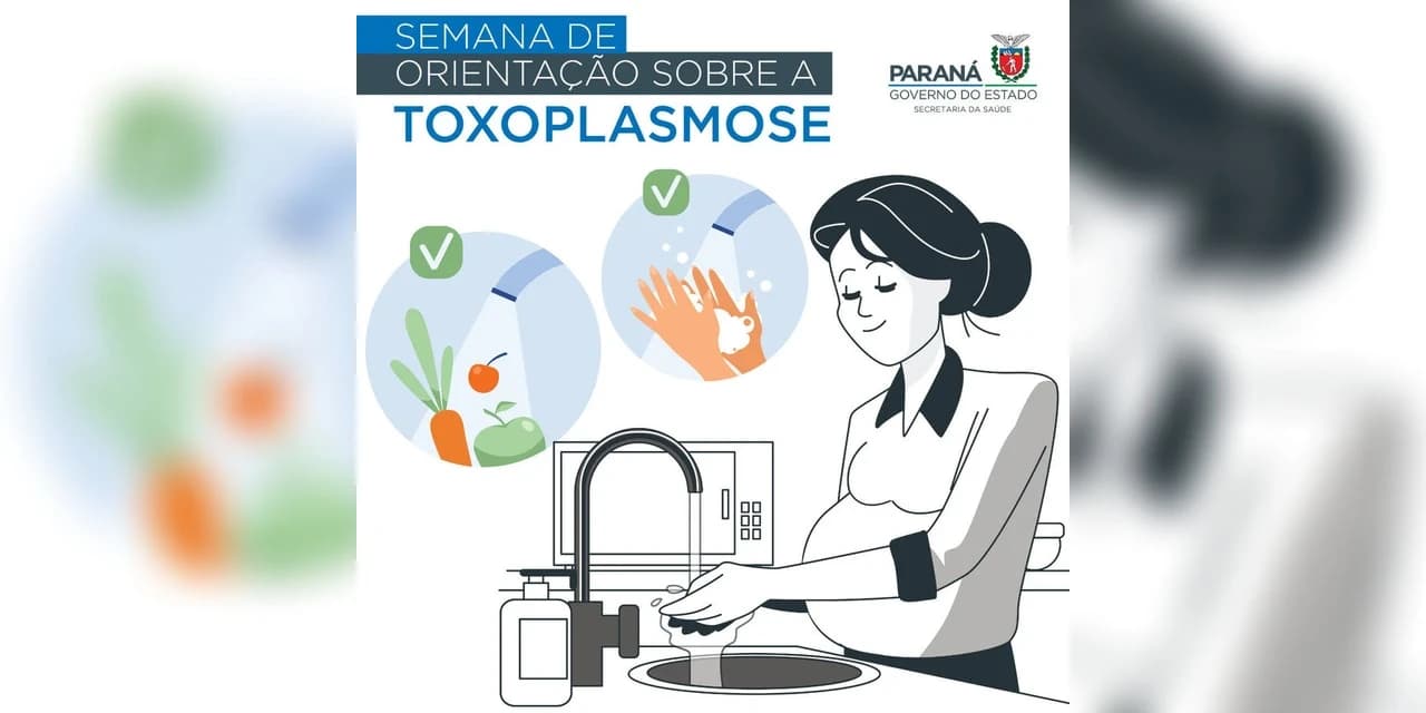 Saúde alerta sobre riscos de toxoplasmose na gravidez.