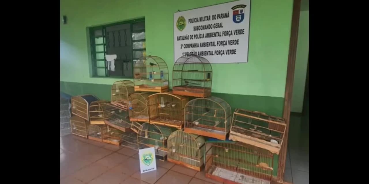 Batalhão de Polícia Ambiental Força Verde realiza operação Asas Livres