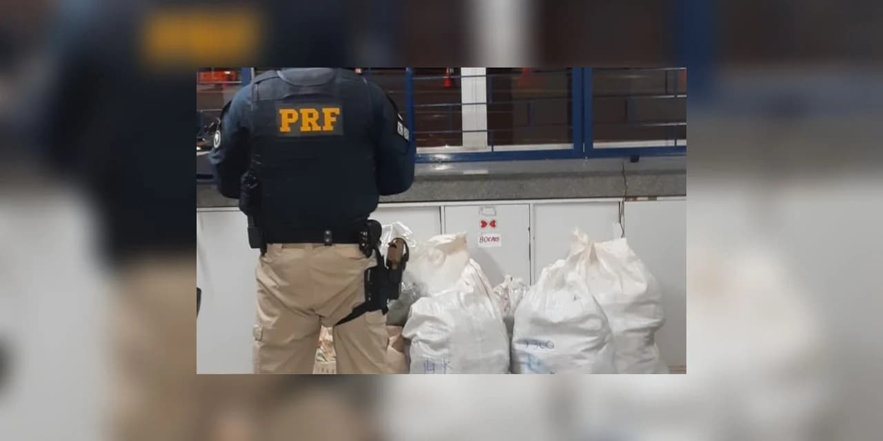 PRF apreende 50 quilos da supermaconha em Irati (PR).