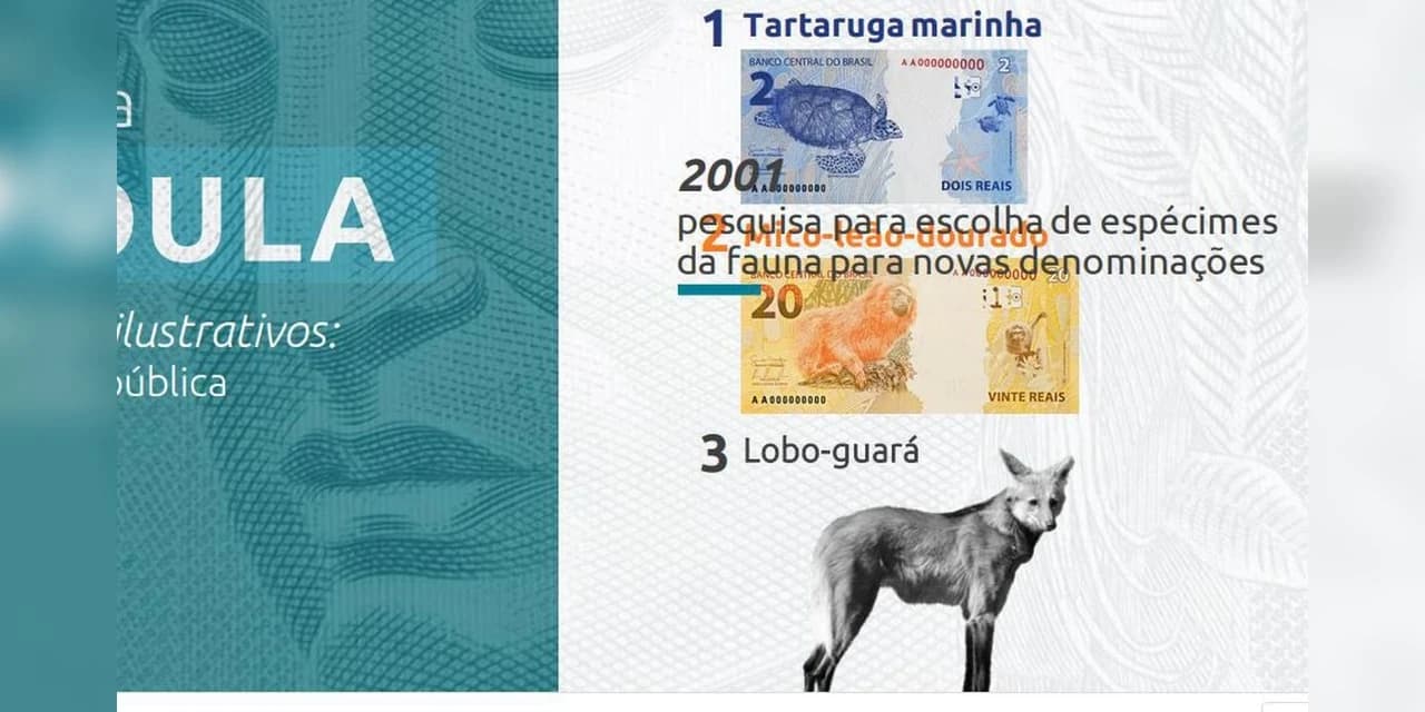 Nova cédula de R$ 200 entra em circulação na quarta-feira.