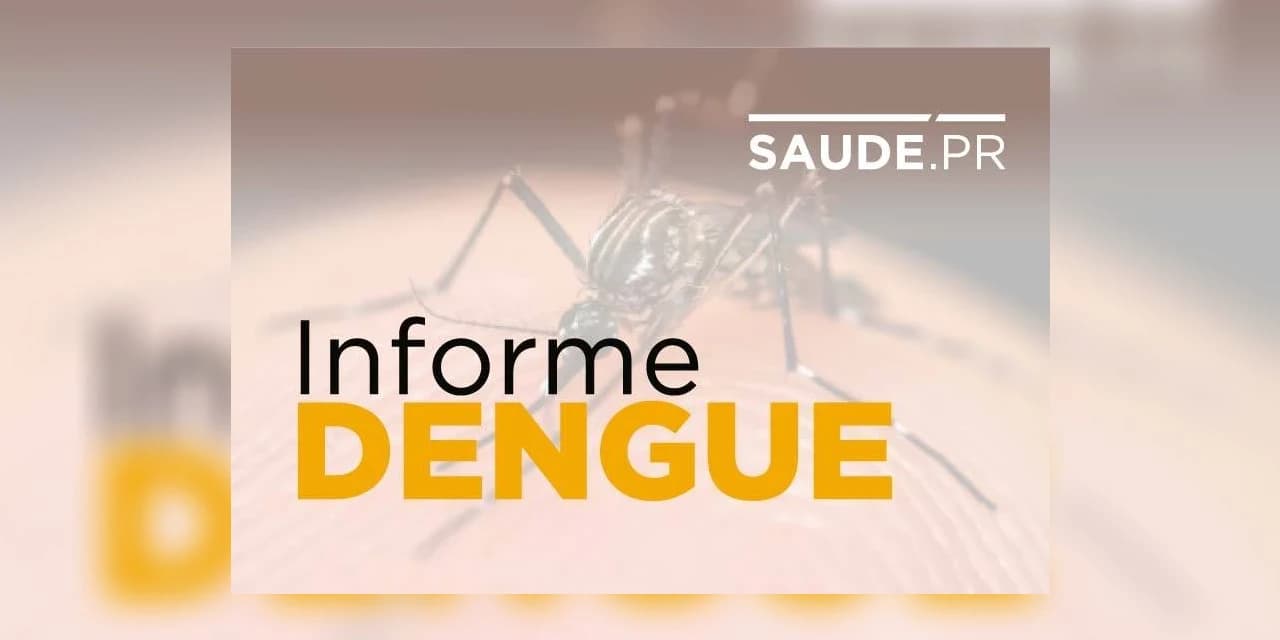 Paraná registra 182 novos casos de dengue no informe quinzenal.