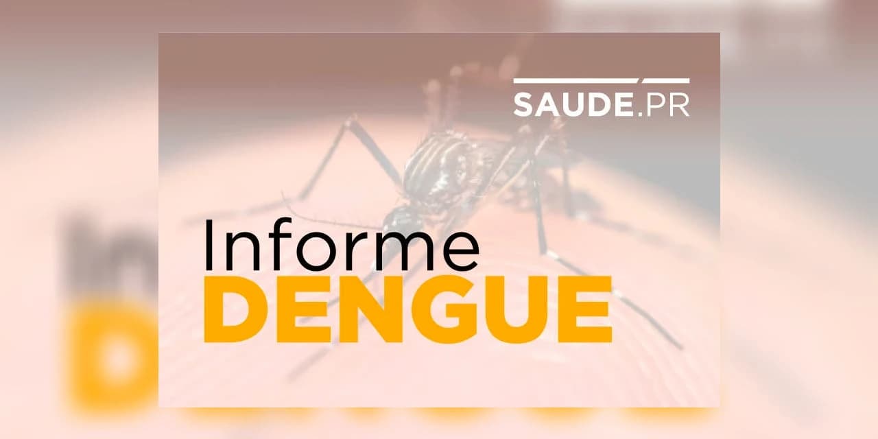 Paraná tem primeiro óbito por dengue no período epidemiológico.