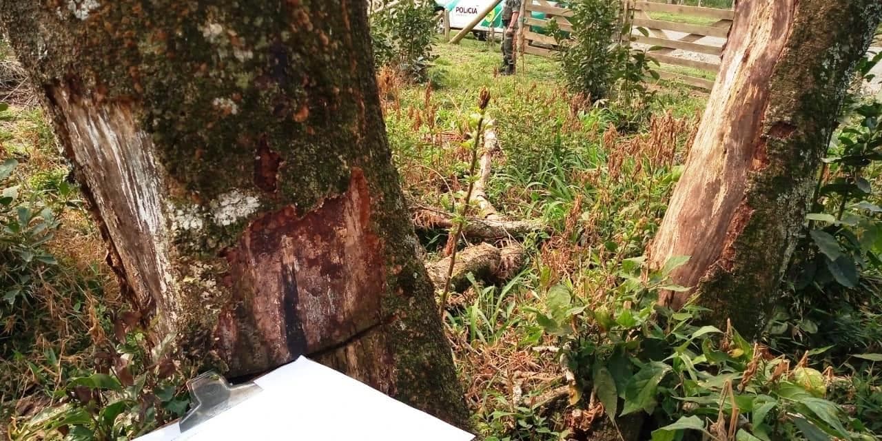 Em Rebouças Policia Ambiental aplica multa no valor de R$ 36 mil reais.