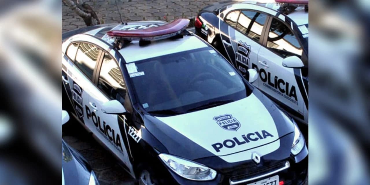 Polícia Civil prende dupla por furtos em Imbituva.