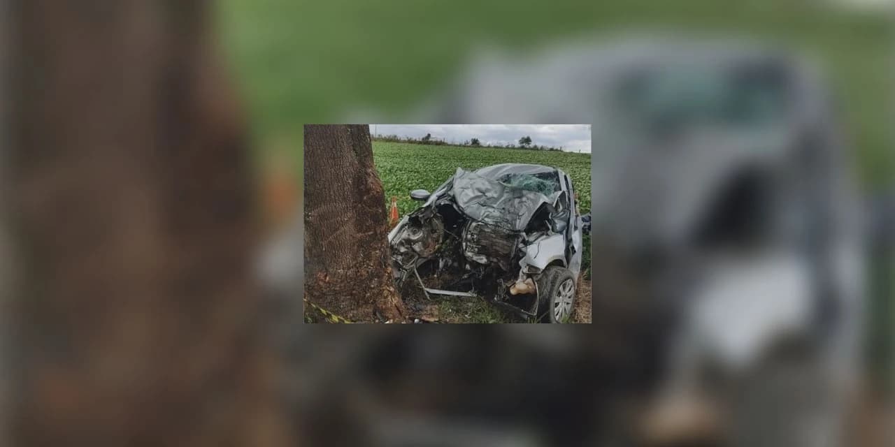 Motorista morre após perder o controle da direção e bater em árvore em Candói