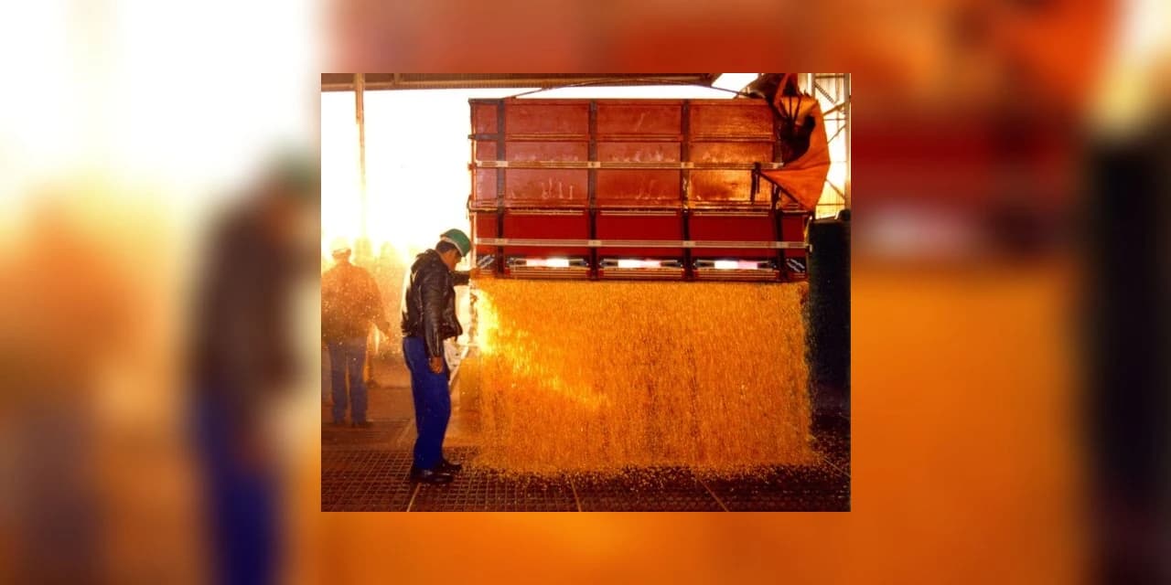 Cooperativas do Paraná faturam R$ 110 bi e geram 10 mil empregos em 2020