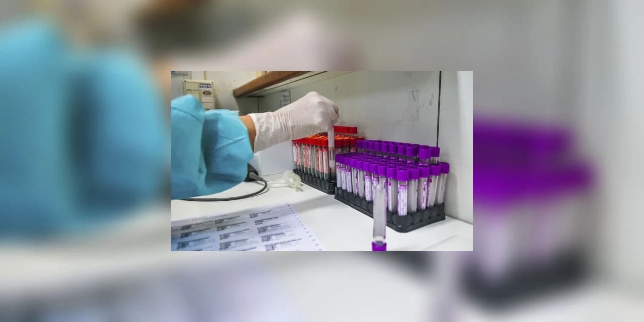 Vereadores de Curitiba aprovam em 1° turno multa a quem desrespeitar as regras anti-Covid