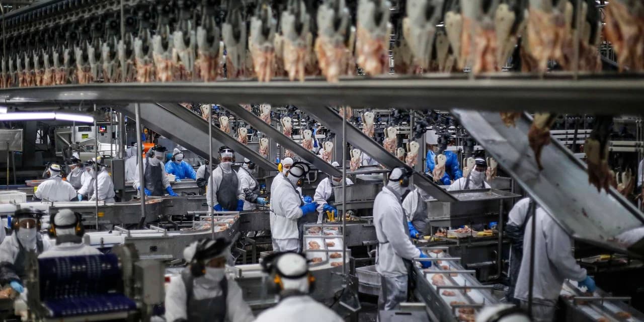 Paraná tem o maior crescimento industrial do País em outubro