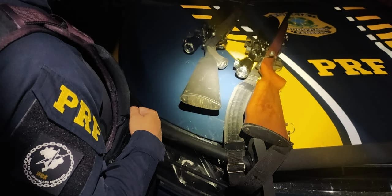PRF prende dupla por crime ambiental e porte ilegal de arma de fogo