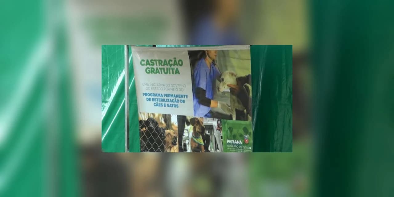 Vereador solicita que Prudentópolis seja incluído no Programa de Esterilização de Cães e Gatos