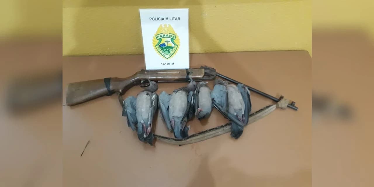 Em Prudentópolis Polícia Militar apreende arma e pombas mortas provenientes de caça