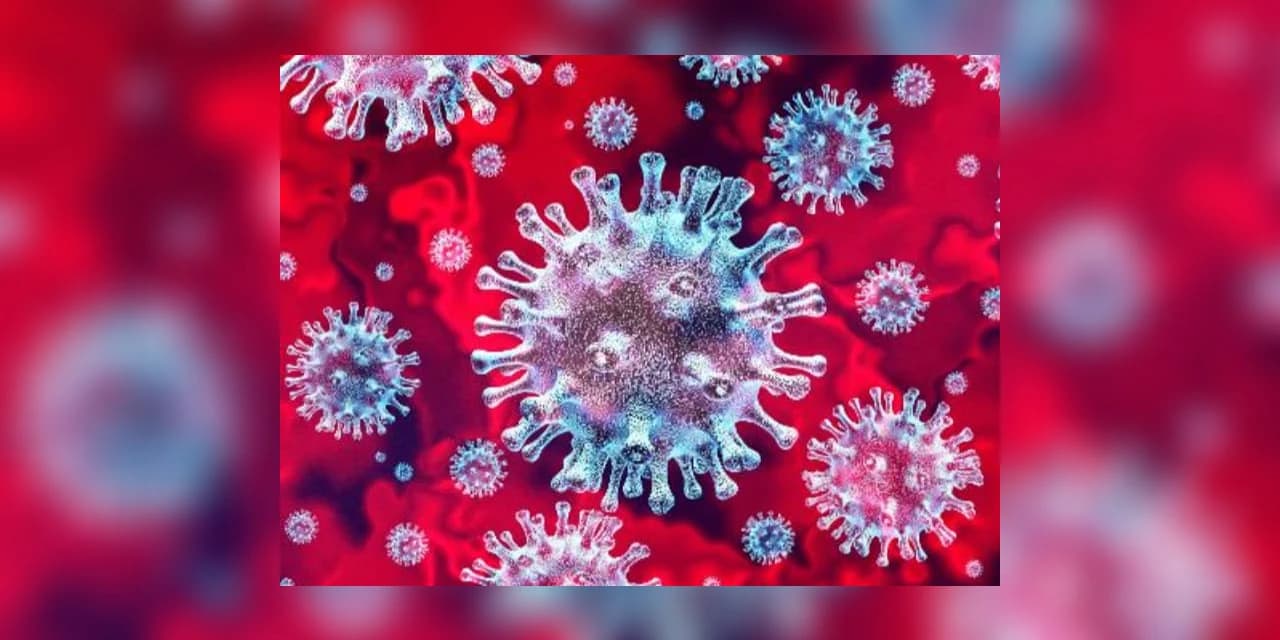 COVID-19: Imbituva confirma mais um óbito e chega a 41