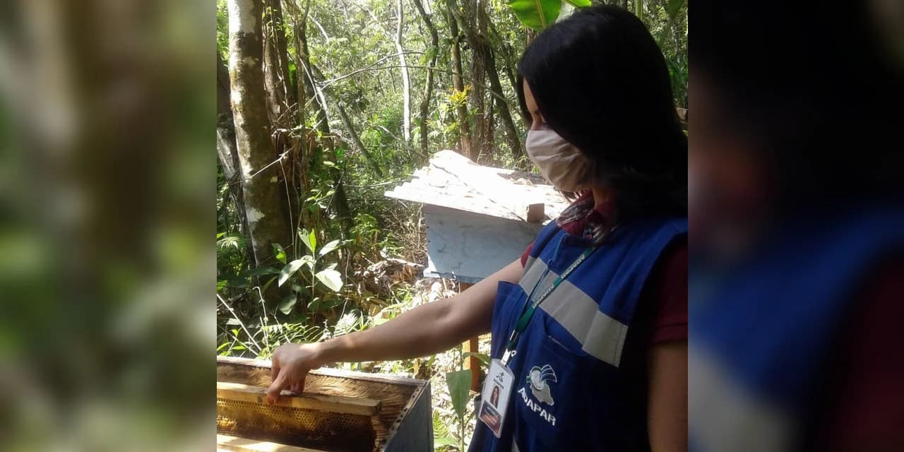 Os impactos dos agrotóxicos na sericicultura, apicultura e produção de alimentos no Paraná são tema de audiência publica