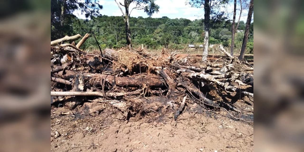 Em Prudentópolis homem é multado em 56 mil reais