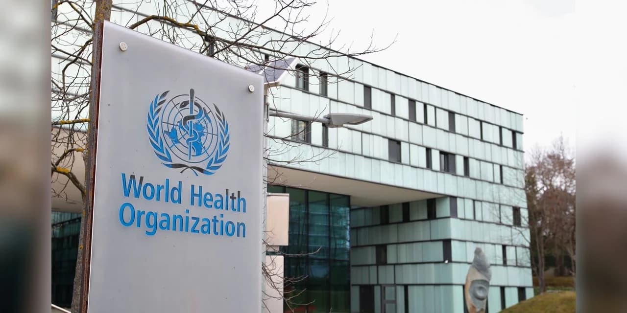 OMS diz que são necessárias novas restrições para combater pandemia