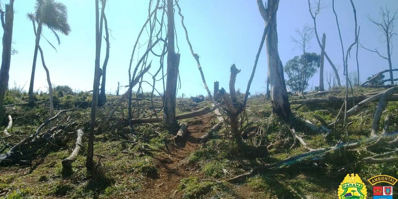 Proprietário de fazenda é multado em R$ 240 mil em Guarapuava