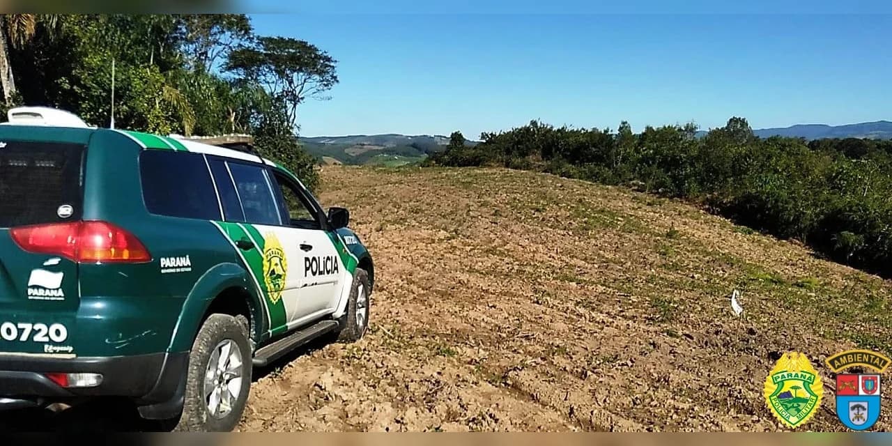 Em Prudentópolis Polícia Ambiental aplica multa de R$ 1,5 milhão