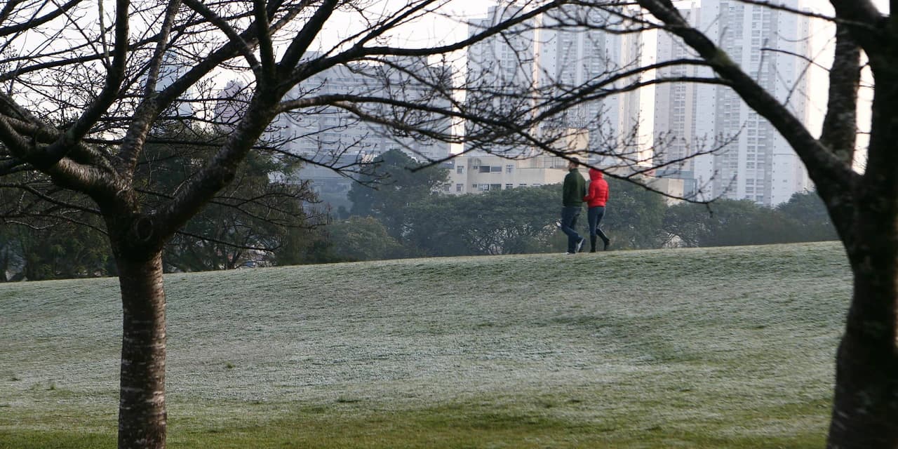 Paraná registra madrugada mais fria do ano; 24 municípios tiveram temperaturas negativas
