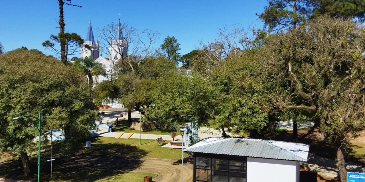 Prefeitura realiza a retirada de árvores consideradas exóticas da praça da Matriz
