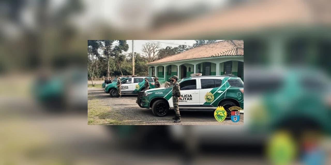 Polícia Militar Ambiental realiza Operação Lobo Bravo II