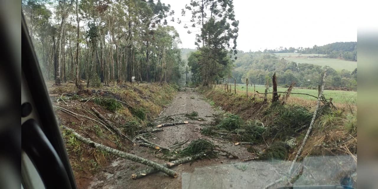 Vendaval atinge interior de Prudentópolis