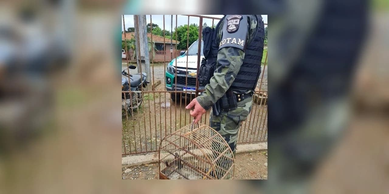 Homem é multado em Prudentópolis por manter dois pássaros “Azulão’’de forma irregular