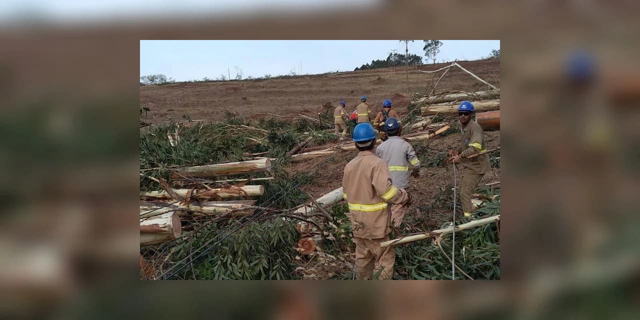 Temporais de outubro causaram mais estragos no sistema elétrico que ciclone-bomba de 2020