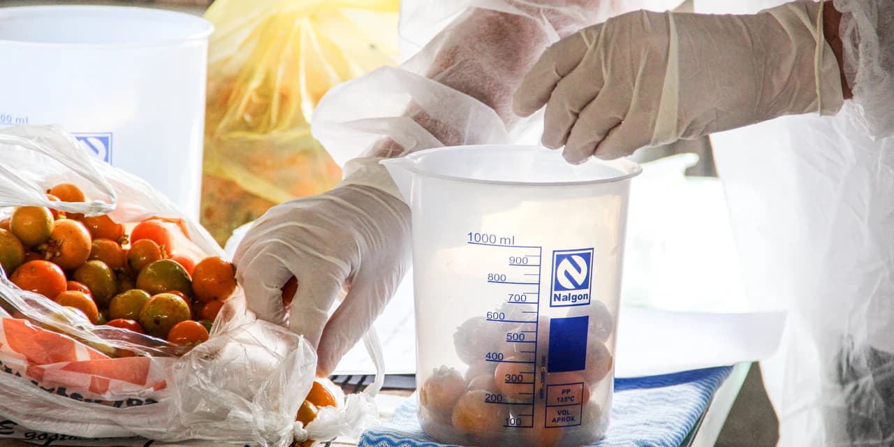 Projeto Guabiroba será implantado em Irati