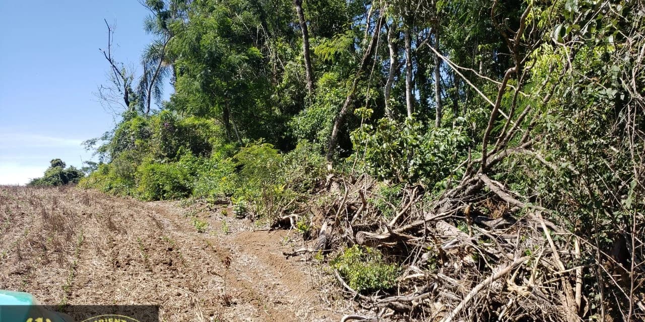 Em Ivaí policiais ambientais constataram destruição de 12 hectares de vegetação nativa