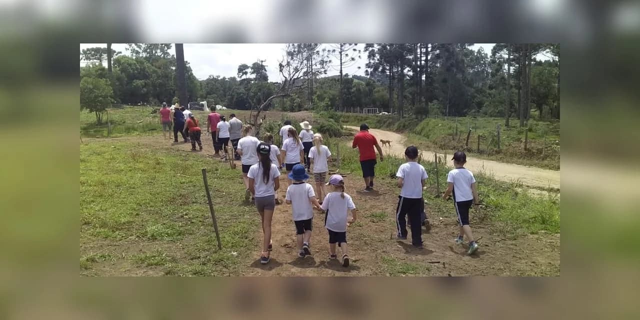 Escola de Concórdia participa de projeto de sustentabilidade