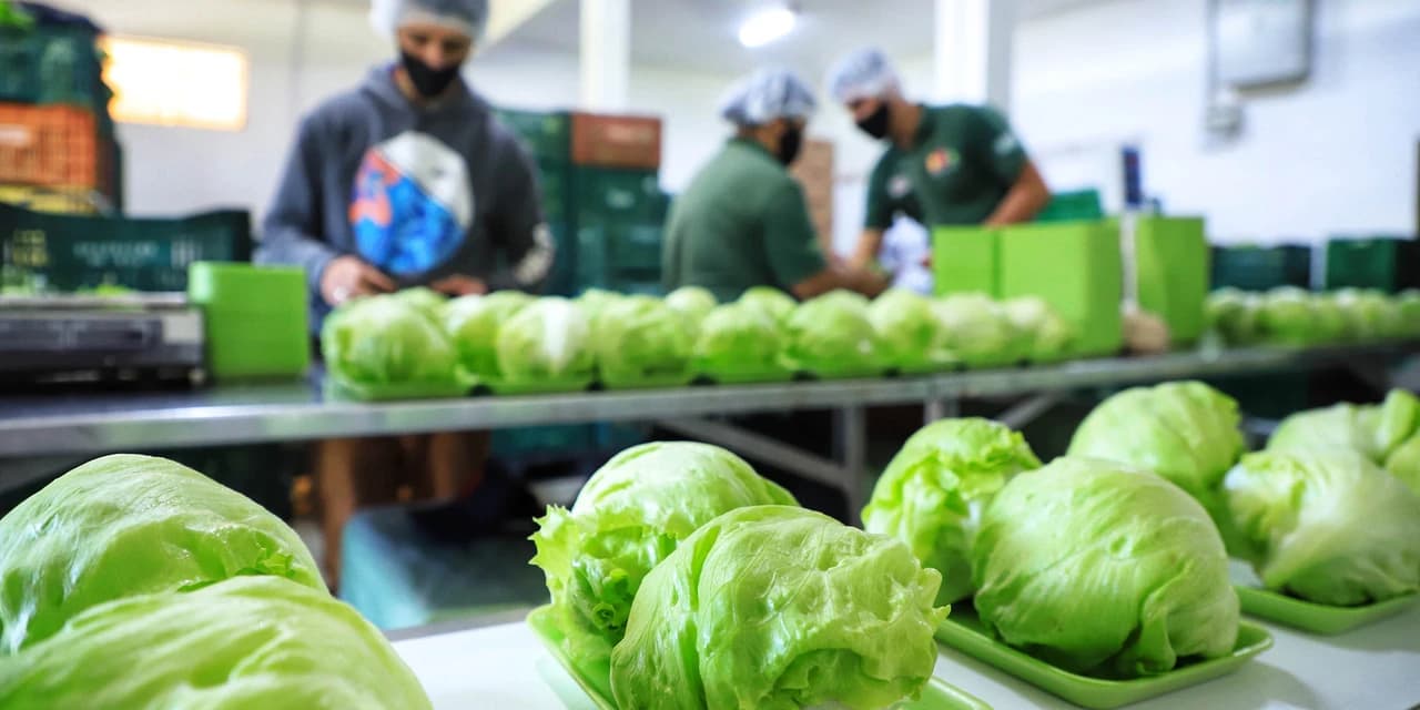 Estado abre chamada pública de R$ 80 milhões para compras da agricultura familiar