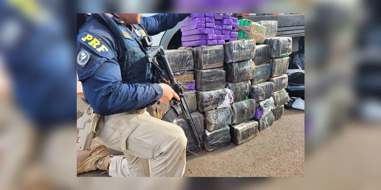 PRF apreende quase uma tonelada de maconha no Paraná