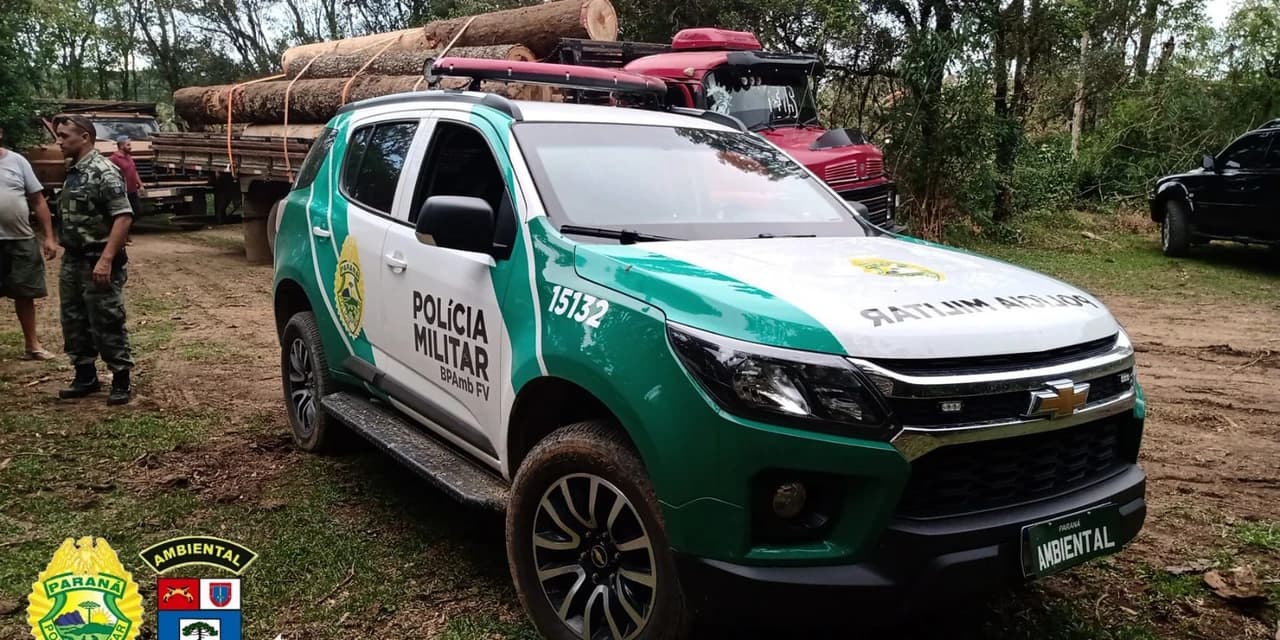 Polícia ambiental localiza destoca de vegetação nativa, em Irati