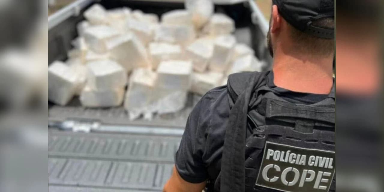 PCPR apreende 240 quilos de cocaína e prende cinco pessoas em Curitiba e RMC