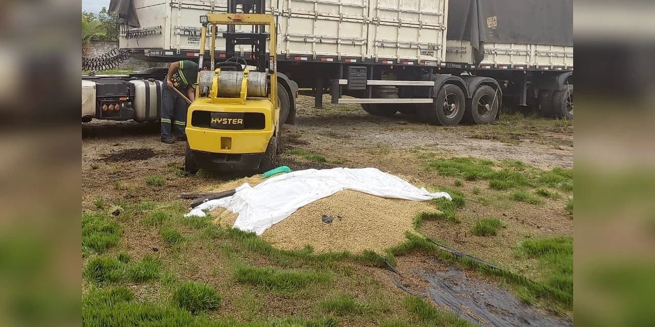 PM recupera 35 toneladas de cevada e insumos agrícolas desviados em Paranaguá