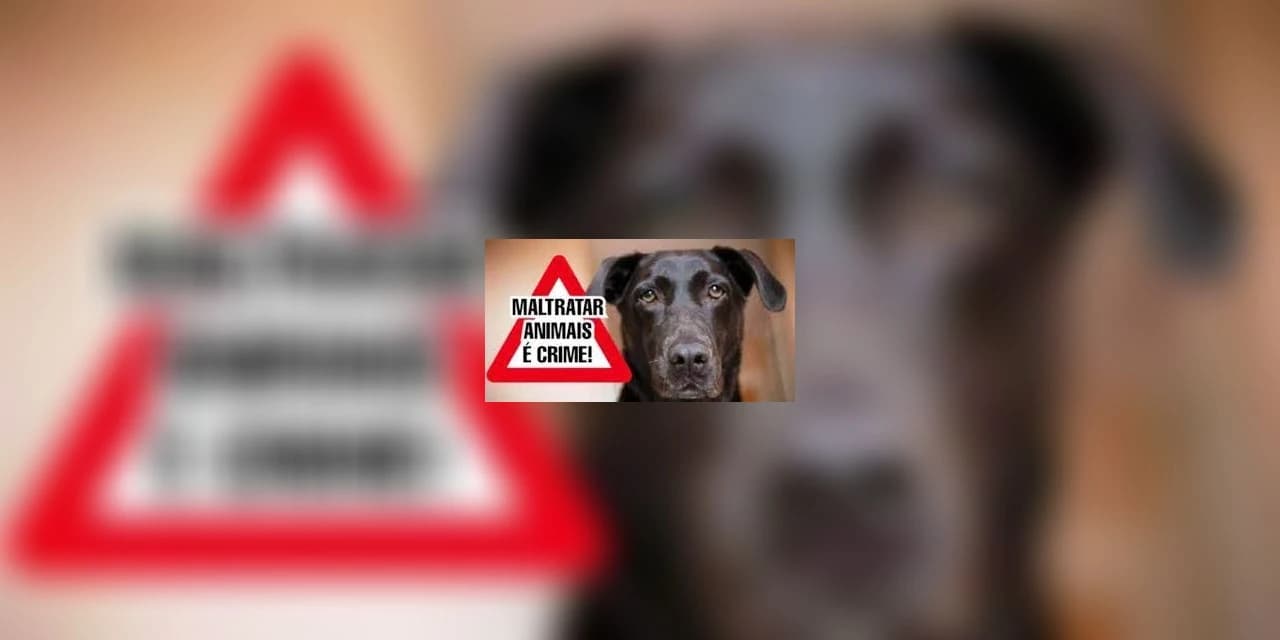 Homem é detido após cortar parte das orelhas de três cachorros com facão em Rebouças